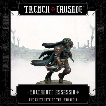 Iron-Sultanate-Assassin