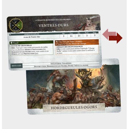 Ogor Mawtribes: Set d'Armée Collector (x16 Figurines)