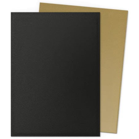 Pochettes-Dragon-Shield-Matte-Black-and-Gold
