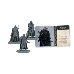 le-trone-de-fer-nightwatch-veterans