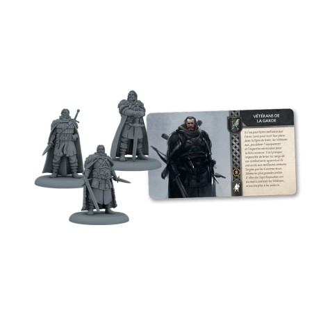 le-trone-de-fer-nightwatch-veterans