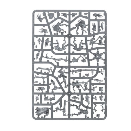 T-au-Empire-Exorodeurs-Kroot-x12-Figurines