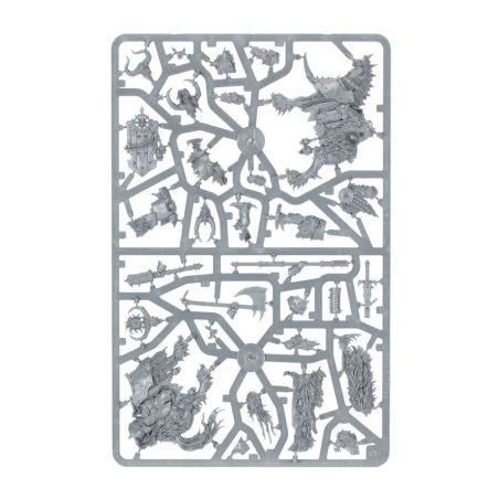 The Old World Guerriers du Chaos: Champions du Chaos (x2)