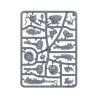 Ogor Mawtribes: Tyrant (x1)