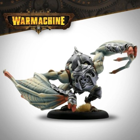 Warmachine-Fane-of-Nyrros-Court-of-the-Shadows-x17-Figurines