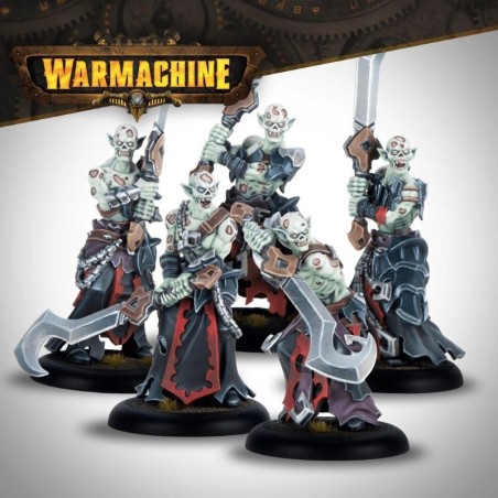 Warmachine-Fane-of-Nyrros-Court-of-the-Shadows-x17-Figurines