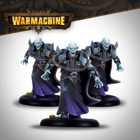 Warmachine-Fane-of-Nyrros-Court-of-the-Shadows-x17-Figurines