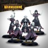 Warmachine-Fane-of-Nyrros-Court-of-the-Shadows-x17-Figurines
