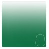 Shade: Biel-Tan Green (18ml)