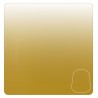 Shade: Casandora Yellow (18ml)