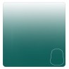 Shade: Coelia Greenshade (18ml)