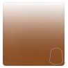 Shade: Fuegan Orange (18ml)