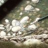 AK-Texture-Corrosion-100ml