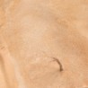 AK-Texture-Sandy-Desert-250ml