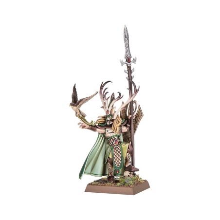 Elfes Sylvain: Colonne de Bataille (x28 Figurines)