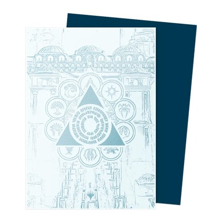 Pochettes-Dragon-Shield-Azorius-Senate