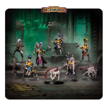 Necromunda: Escher Matriarchs et Phyrr Cats (x8 Figurines)