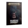 Sons of Behemat: Bagarreurs de Béhémat (x2)