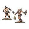 Sons of Behemat: Bagarreurs de Béhémat (x2)