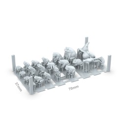 ak-frogs-x21-pieces