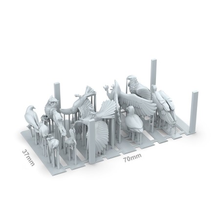 ak-birds-x12-pieces