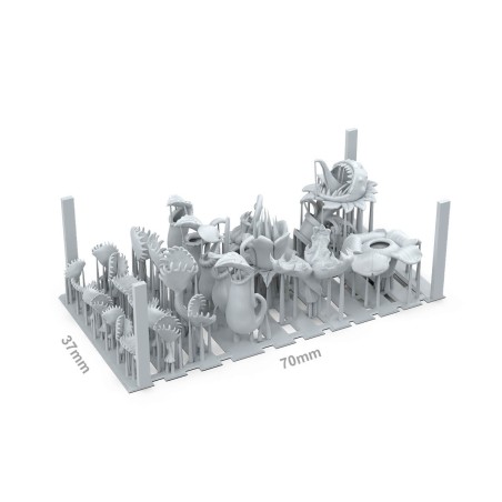 ak-carnivorous-plantsx27-pieces