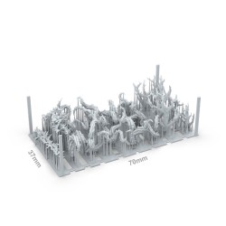ak-thorn-plants-x18-pieces