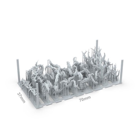ak-thorn-plants-x18-pieces