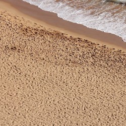 AK-Texture-Sable-Plage-250ml