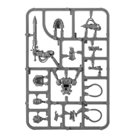 Space Marines: Archiviste (x1)