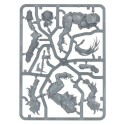 Warcry: Maréchal Centaurion